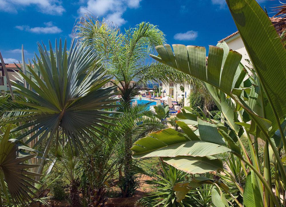 Atlantis Resort Ayia Napa Exteriér fotografie